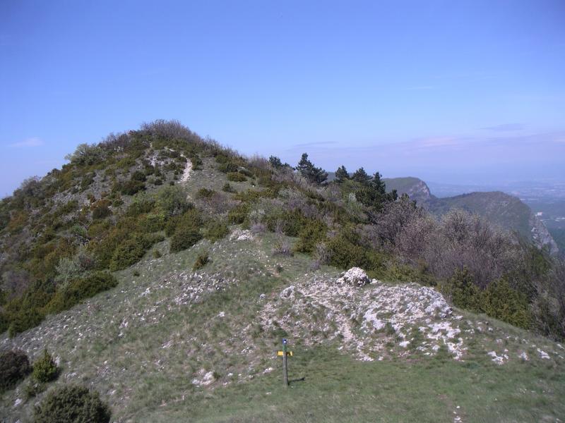 Gd Pommerolle