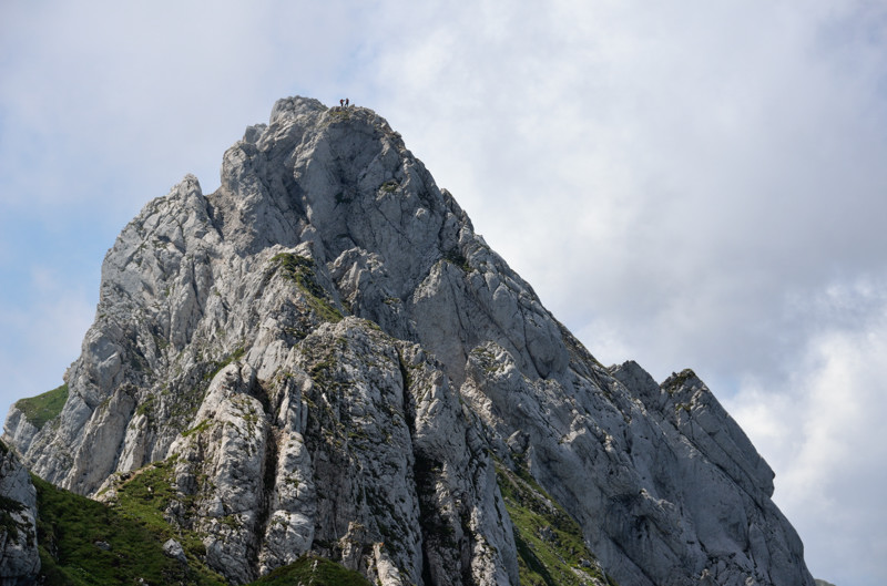 Gerbier