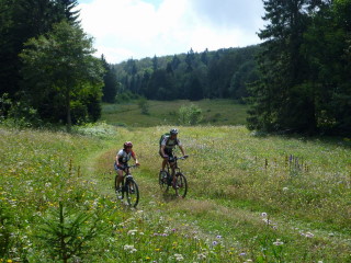 VTT dans les Coulmes