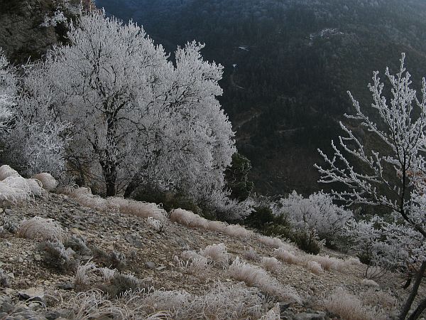 Givre