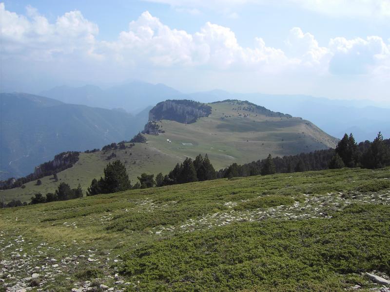 Glandasse