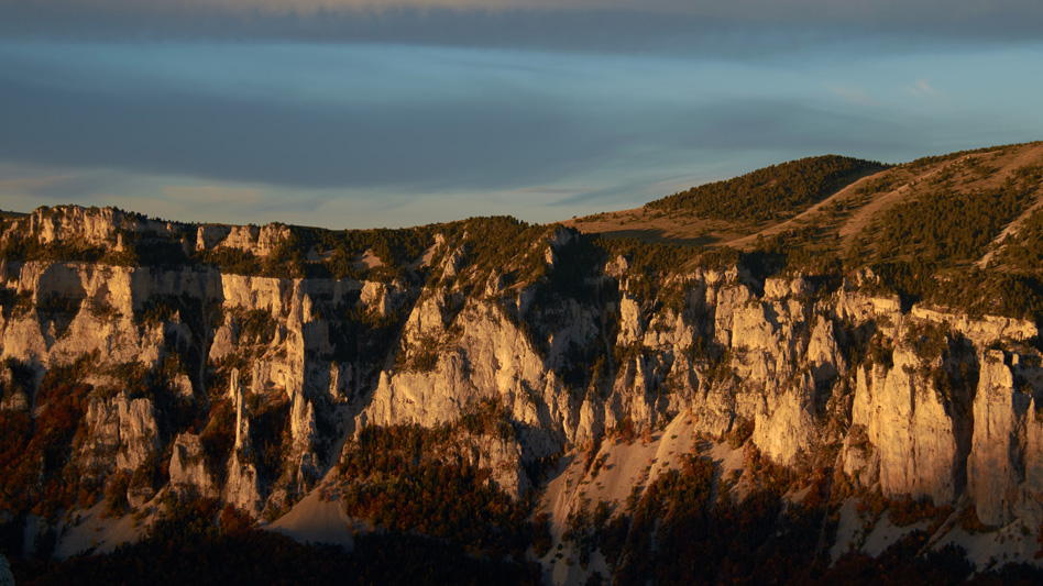 Glandasse
