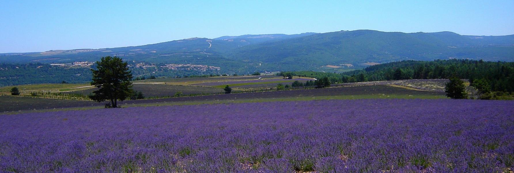Gorges de la Nesque