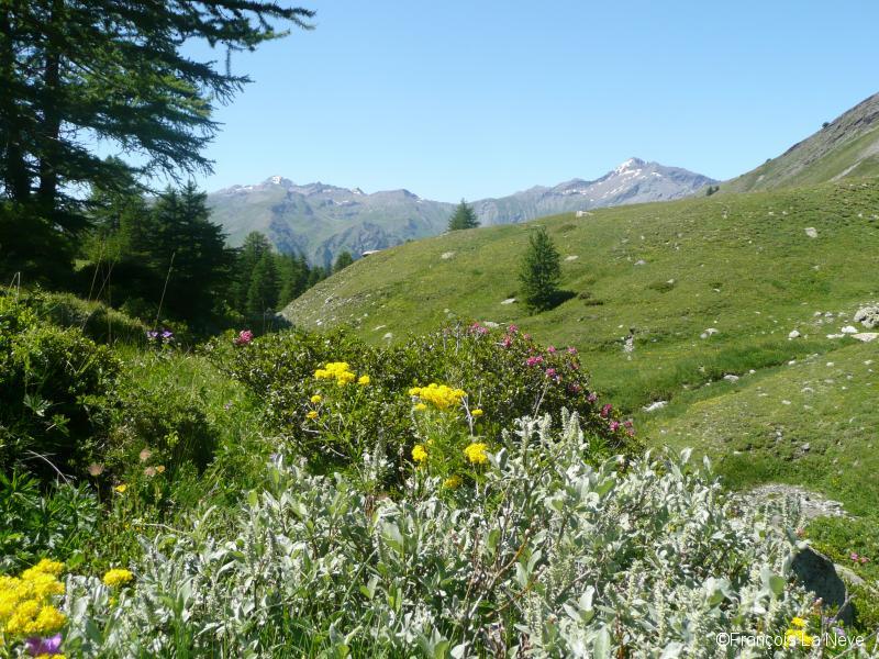 Grand Gleiza et Bric Froid - Queyras