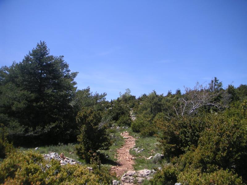 Grand Margès