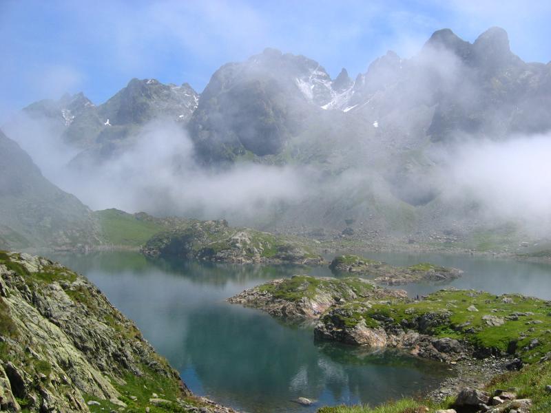 Grand Sorbier depuit les Roberts