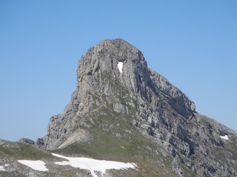 Grande Moucherolle depuis le débouché du Col