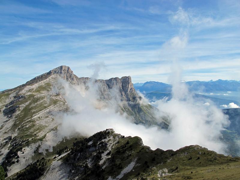 Grande Moucherolle et Agathe