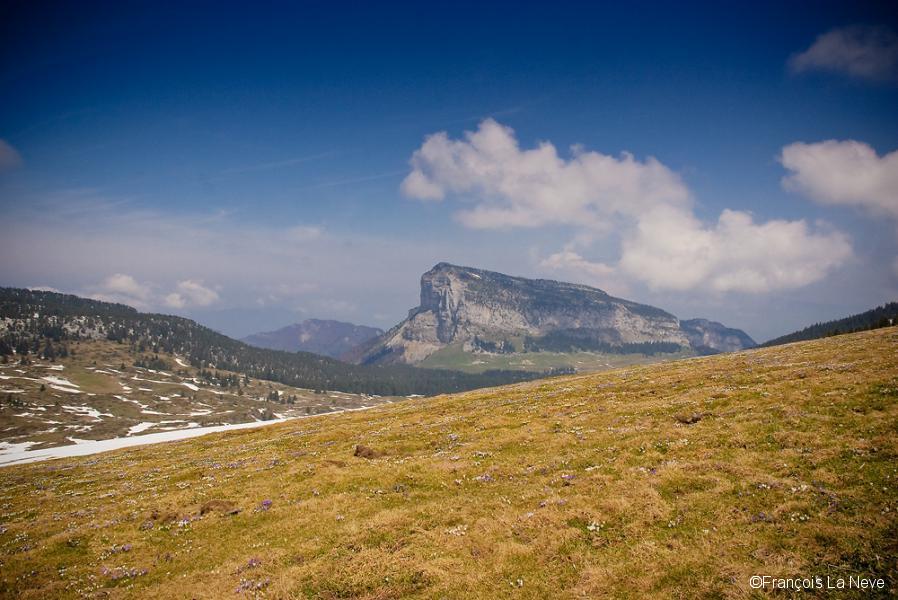 Granier (Chartreuse)