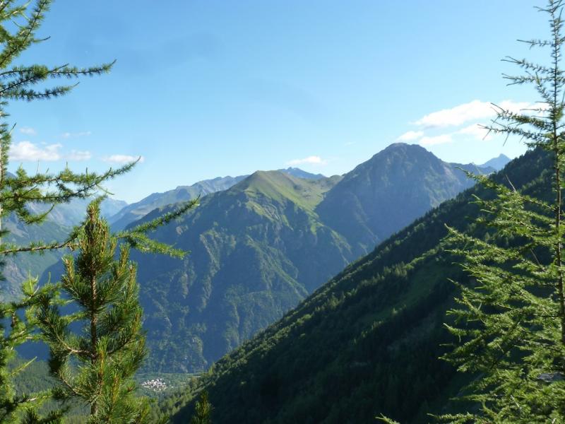 Gros plan sur le délicieux Vet et l'altier Arcanié