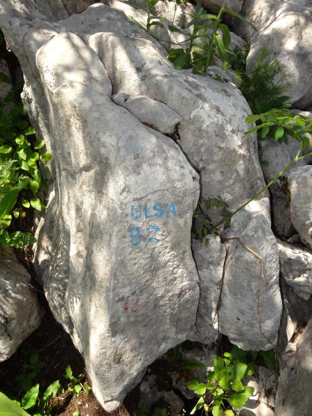 Grotte Ulsa 82