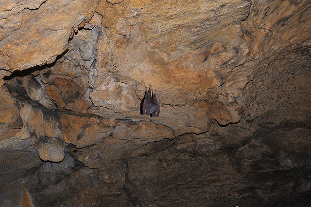Grottes de Bange