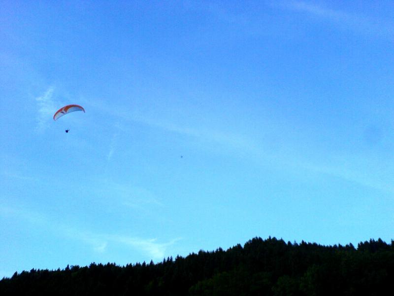 Guy à l'approche