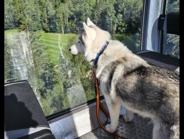 RUN 57: Descente Flegere par Charlarnon