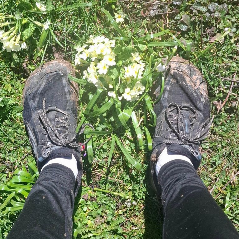 Pendant que ça danse 👯‍♀️