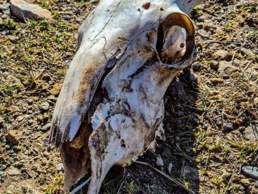 Tour du val d'Azun - Jour 1