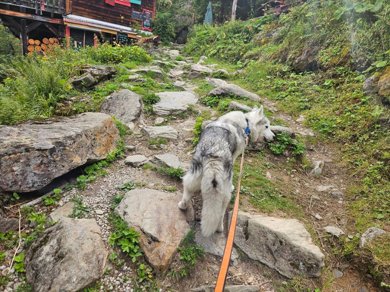 RUN 27: Planards - Caillet - Montenvers - Mottets