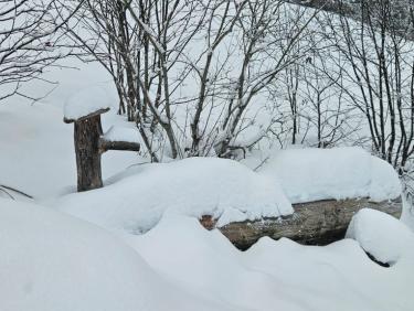 RQ1: ND de la Gorge - Nan Boran