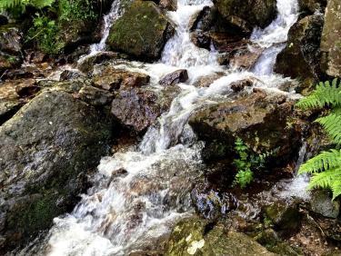 Le Gier après son saut