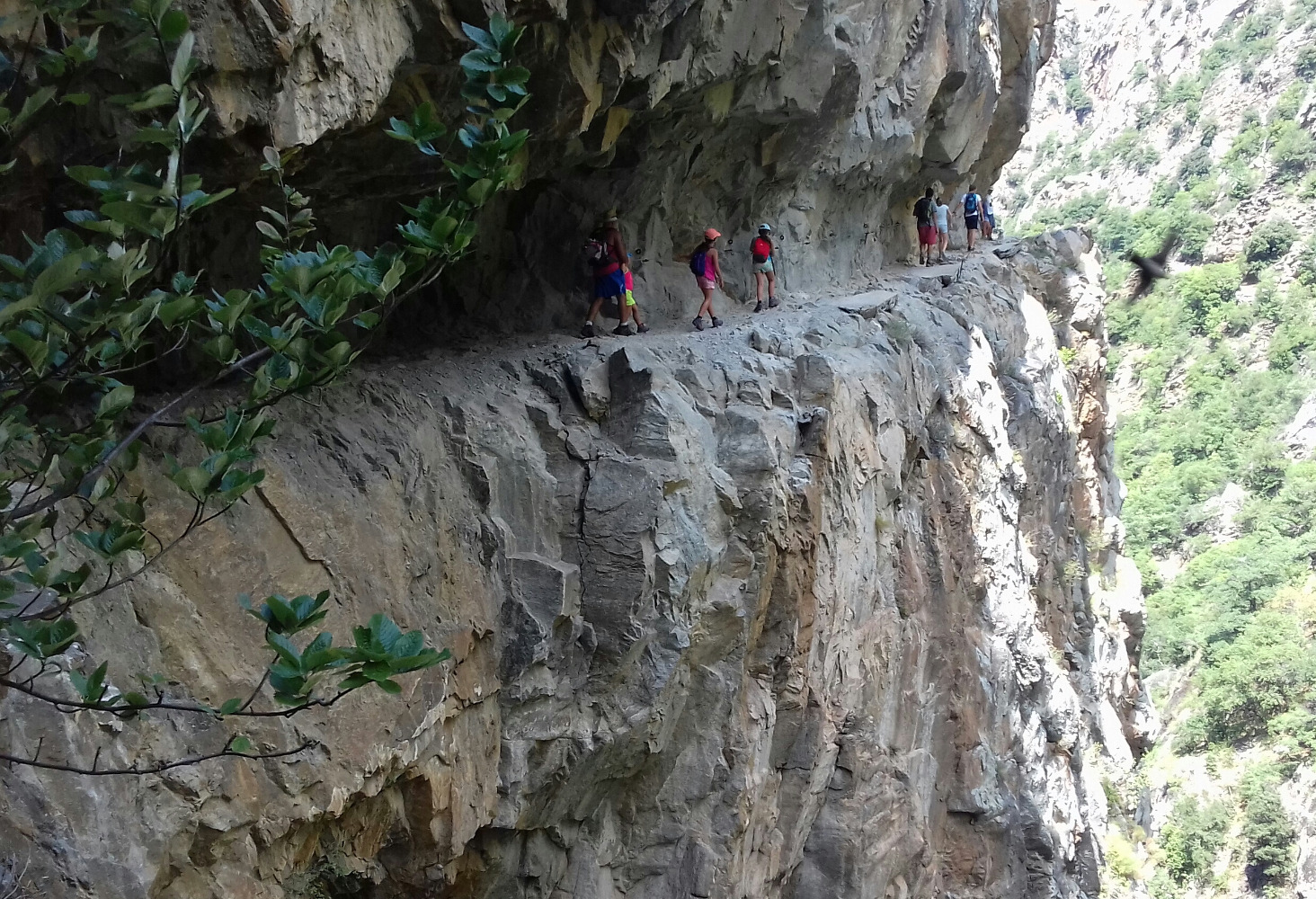 Gorges de la CaranÃ§a