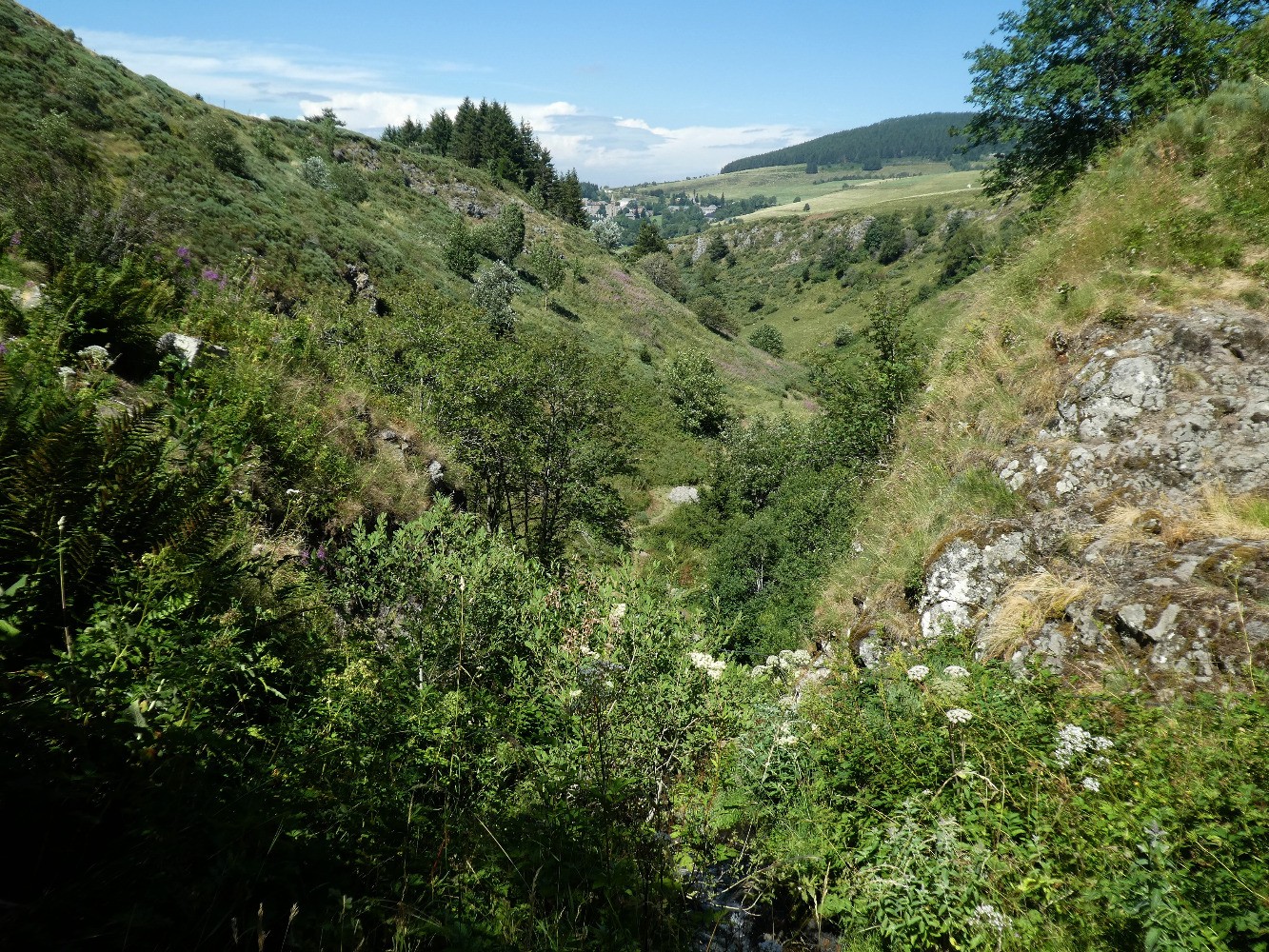 gorges du Salin en aval de la cascade