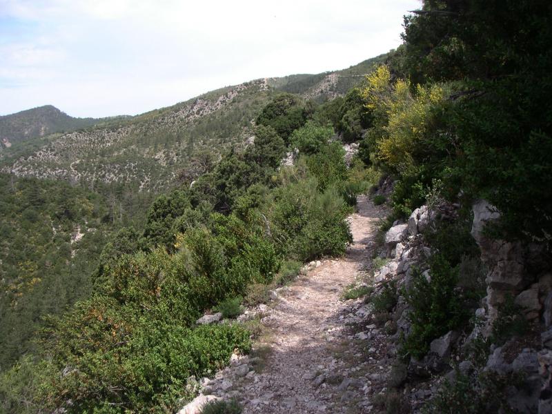 gorges de Trévans