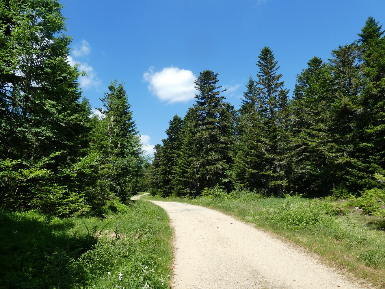 GR3, la piste
