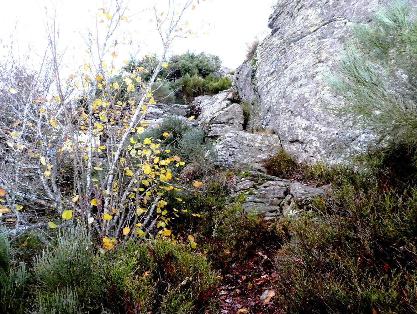 Gradins sous le sommet