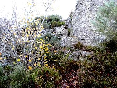 Gradins sous le sommet