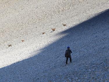 Grand tour et sommet de l'Obiou