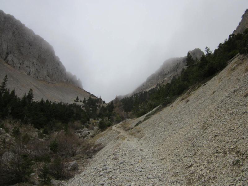 gris vers les Bachassons...