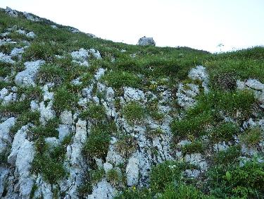 Gros caillou repÃ¨re