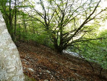 Gros hÃªtre et Ã©boulis dans la descente sous la Blache