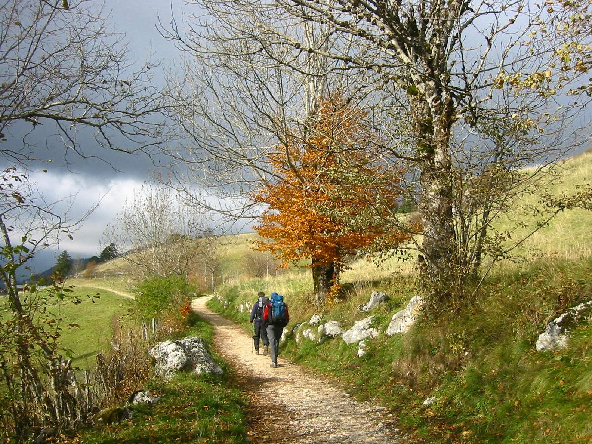 gtv_automne villars