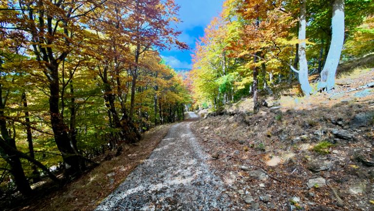 Marathon de la Toureille