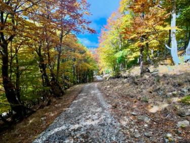 Marathon de la Toureille