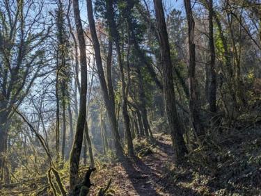 Y&apos;avait du soleil, en fait