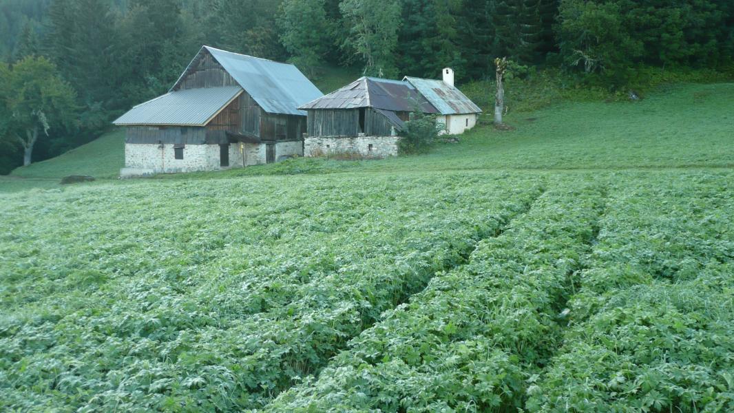 Hameau de Plan Parc