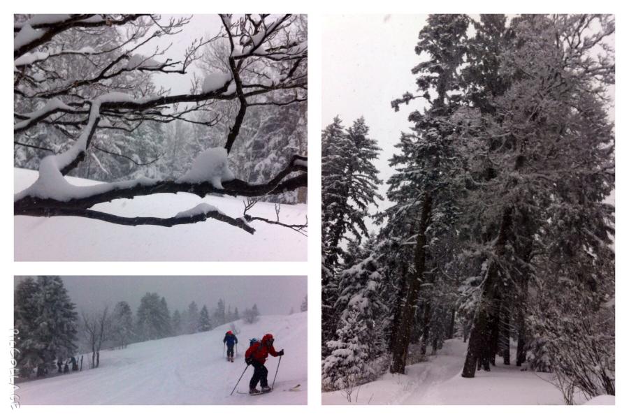Hiver....