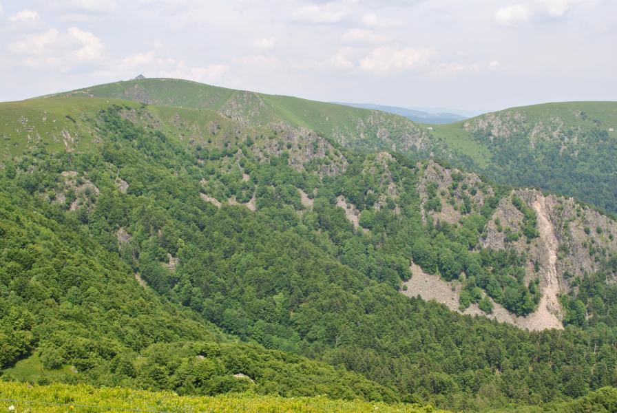 Hohneck Spitzkopfe