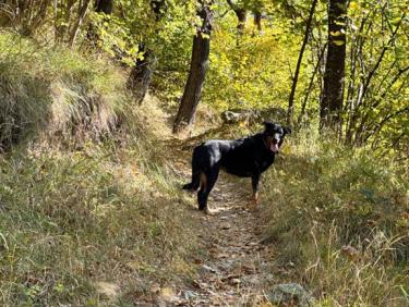 Saint-Étienne-de-Tinée - Croix de Selasse 🍂🍂🍂