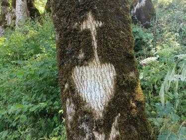 🇺🇦 Randonnée Monastère de la Grande Chartreuse