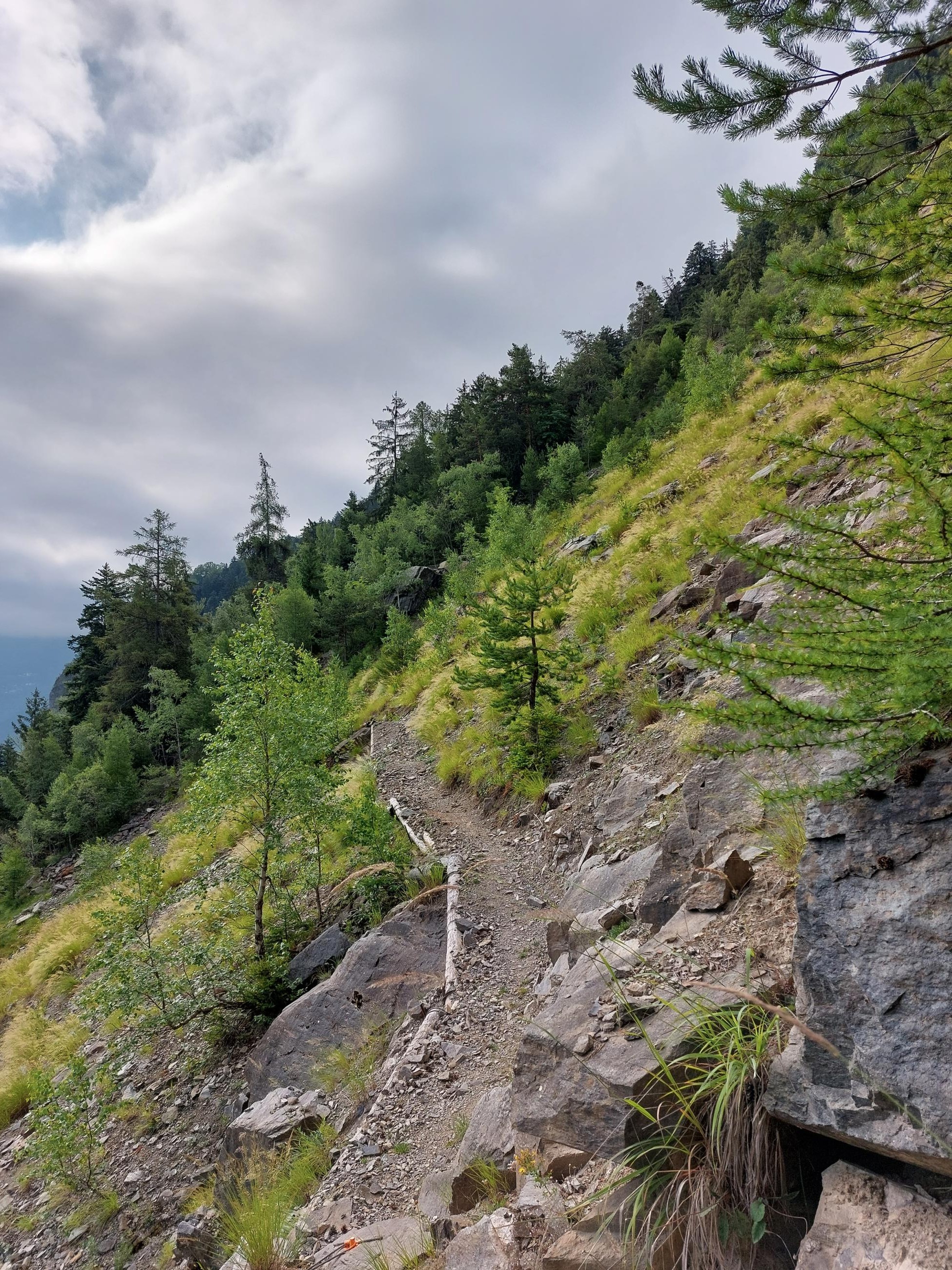 H&F Villard notre Dame