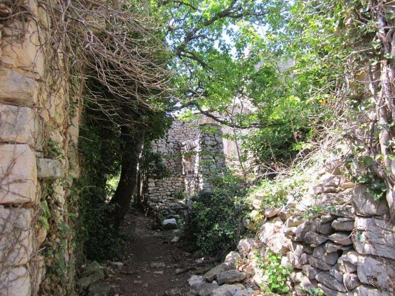 hameau ruiné de Travignon