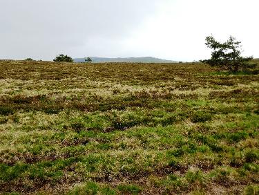 Hautes Chaumes, avec au fond Pierre-sur-Haute, Peyre Mayou et le col du BÃ©al