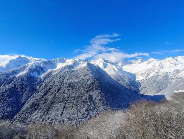 Here come the sun king