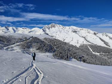 Here come the sun king