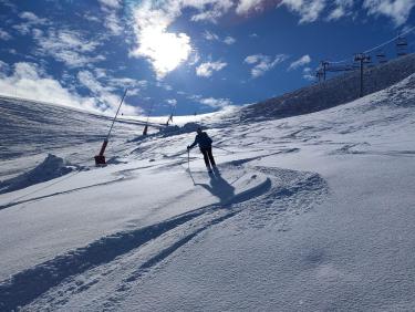 Here come the sun king