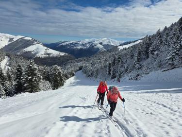 Here come the sun king