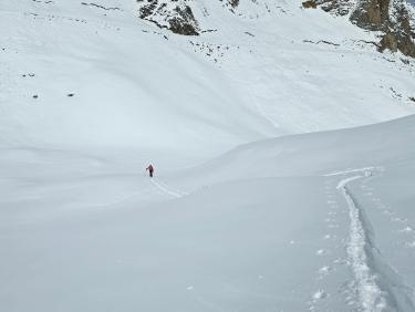 Here come the sun king